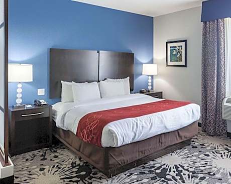 King Suite - Accessible/Non-Smoking