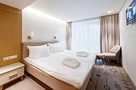 Deluxe Room with spa access