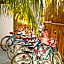 Holbox Deluxe Apartments