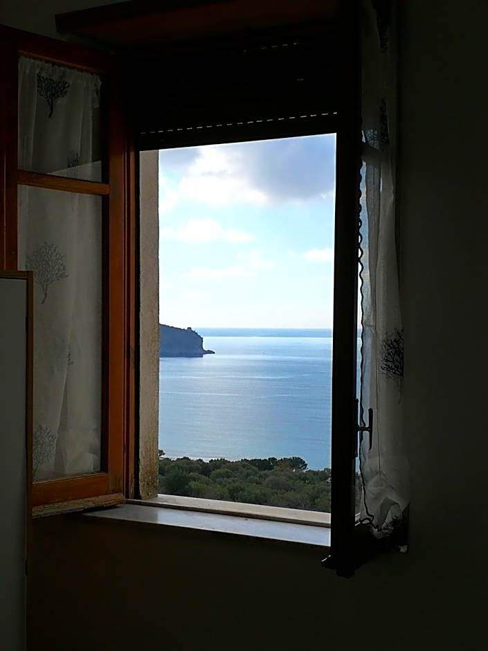 Il Sogno di Vincenzo e Maria