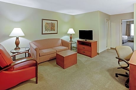 1 King Bed Suite Non-Smoking