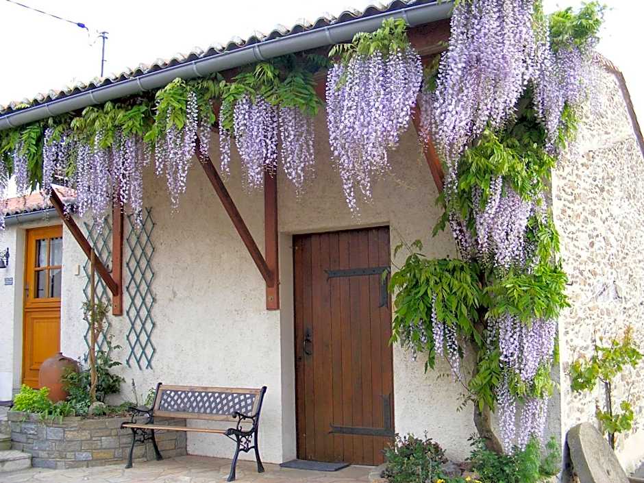 Chambres d'Hôtes Vignes et Loire