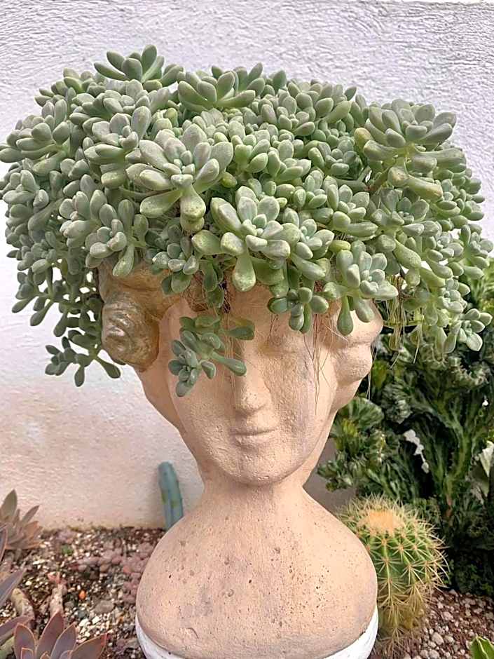 Sunshine Stay Panglao