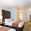 Comfort Suites Mandeville - Covington