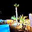 Marcos Beach