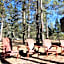 Aspen Springs Angel Fire