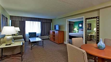 1 King Bed  Deluxe Suite  Non-Smoking