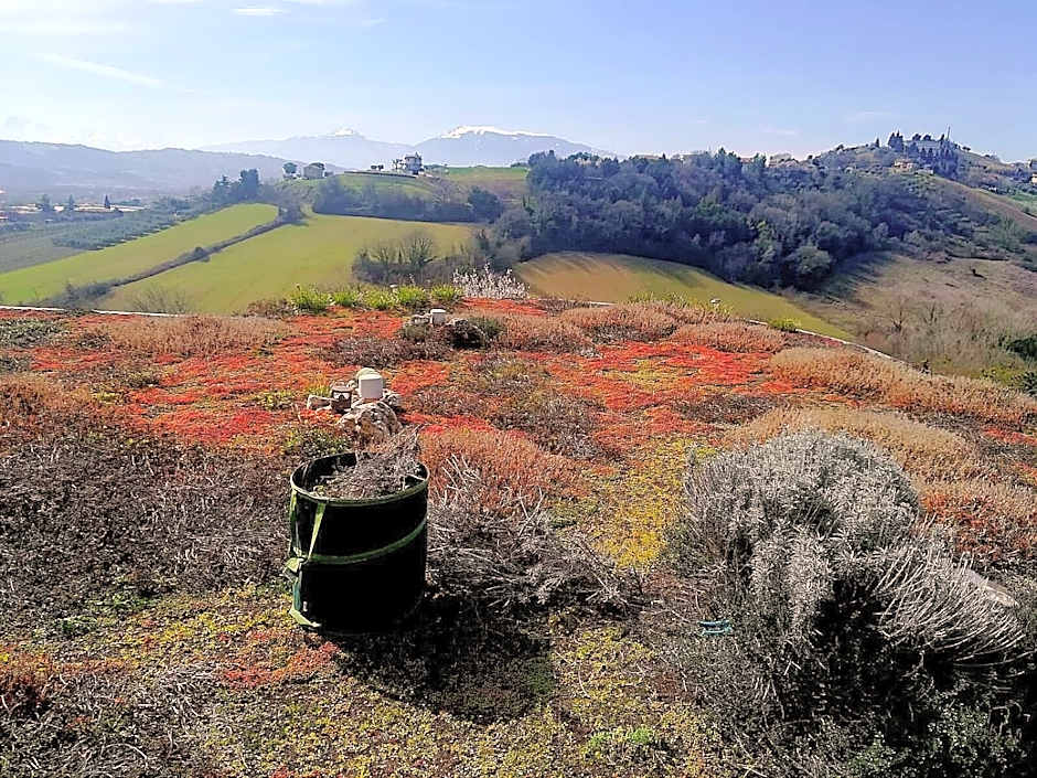 La tana dei leoni