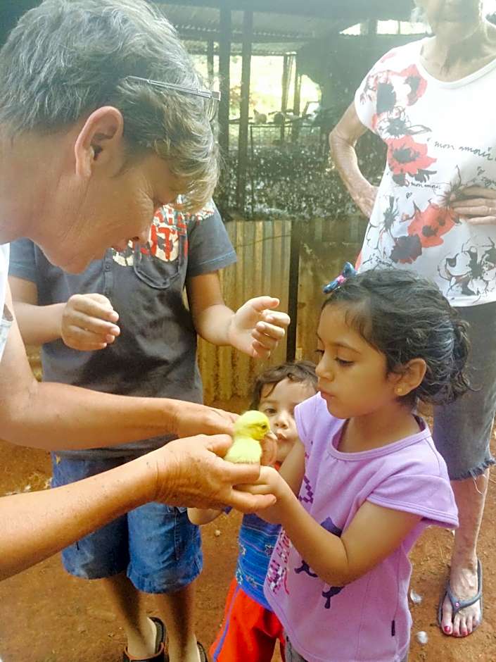 The Cradle Berry Farm