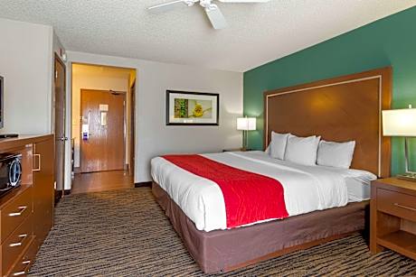 Queen Room - Disability Access/Non Smoking