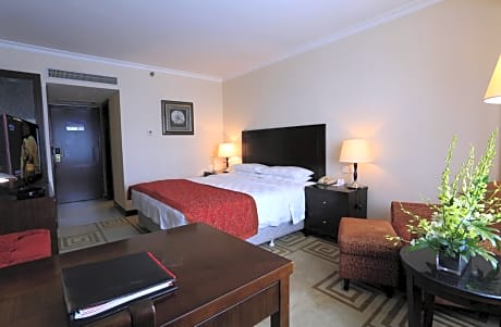 Mainland Chinse Citizens - Special Offer-Deluxe Double Room