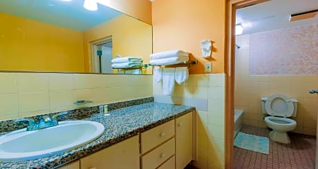 Suite-2 Rooms 1 Bed, Non-Smoking, One Queen Bed, Kitchenette, Separate Living Area, Couch, Desk, Con