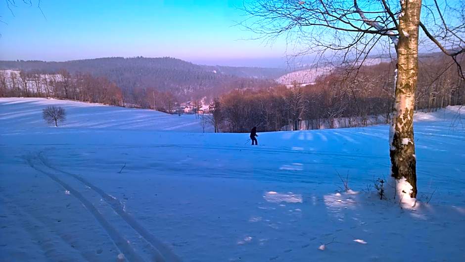 Pension Lenno we Wleniu