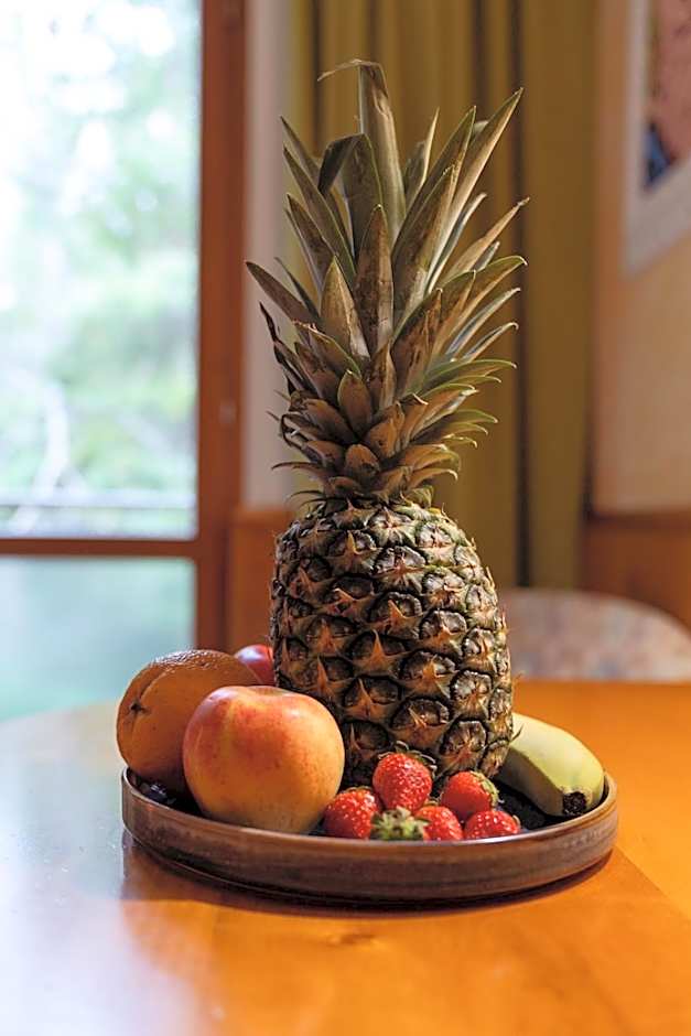 Hotel Restaurant Südrast Dreiländereck