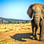 African Hills Safari Lodge & Spa