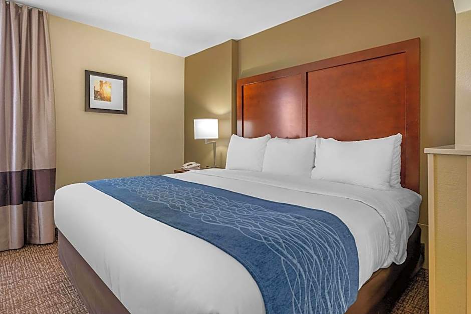 Comfort Inn Ocala Silver Springs