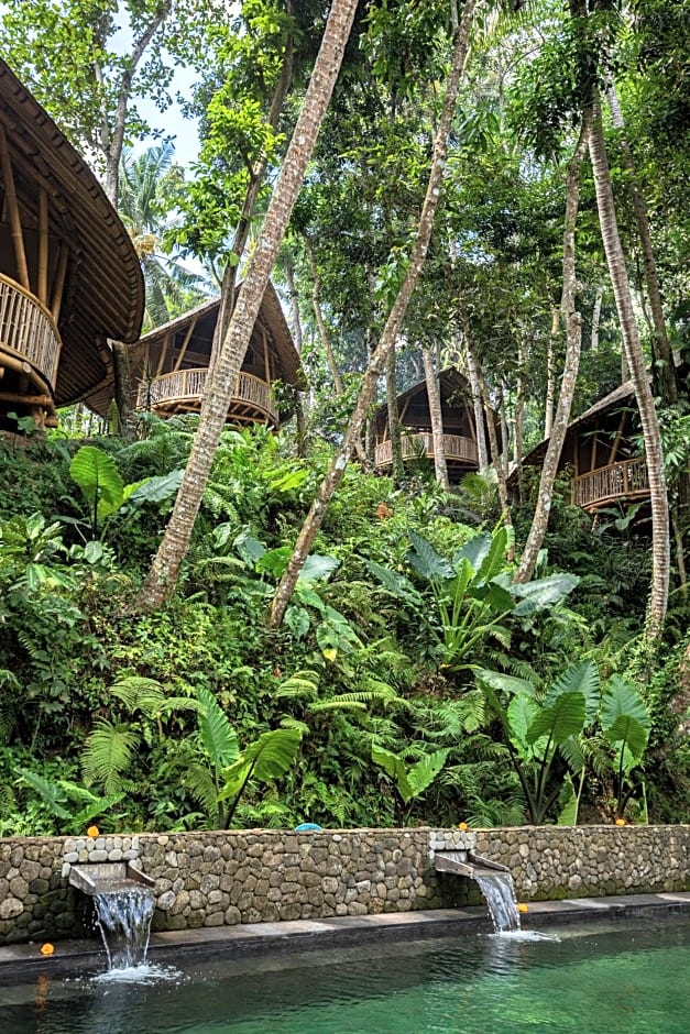 Bamboo Turtles Ecolodge