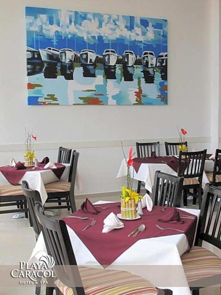 Playa Caracol Hotel & Spa