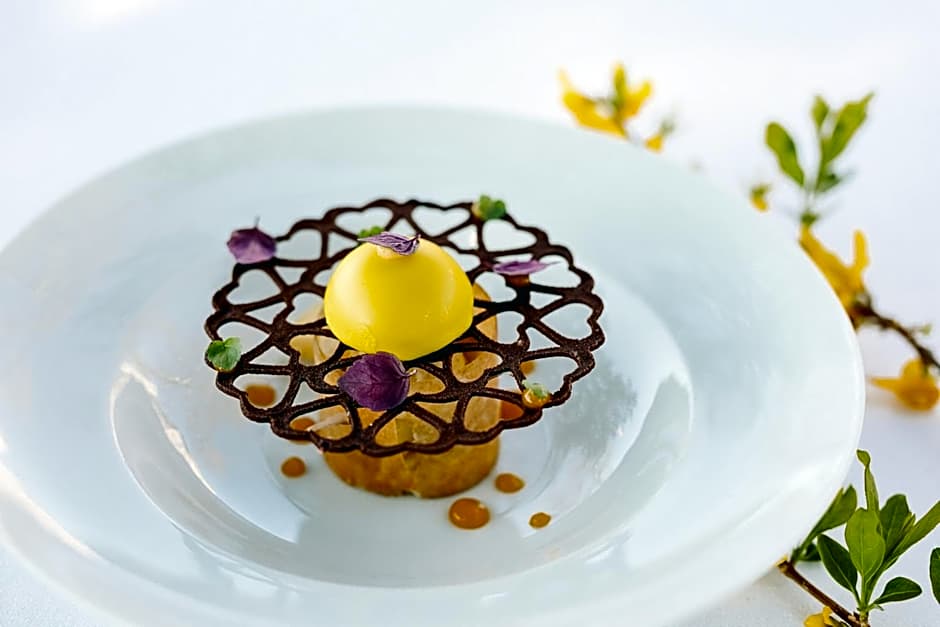 Hotel du Léman - Jongny