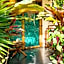 BamBam Bungalows Zanzibar