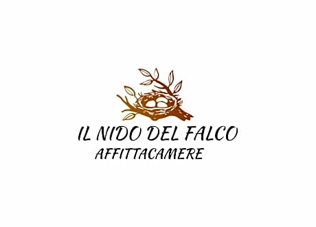 IL NIDO DEL FALCO
