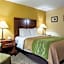 Comfort Inn Columbia West