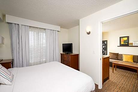 Executive Suite, 1 Bedroom Suite, 1 King, Sofa bed