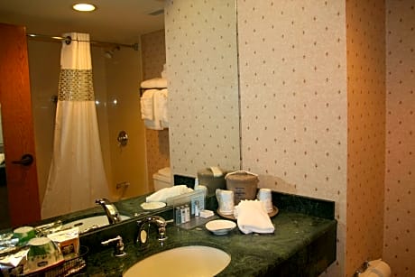 King Room with Sofa Bed - Hearing Accessible/Non-Smoking