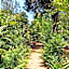 Woodland Gardens Self-Catering & Pet-Friendly Lodge