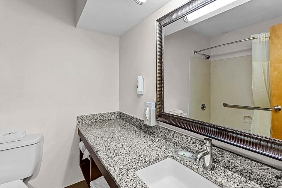 Quality Inn Rochester South