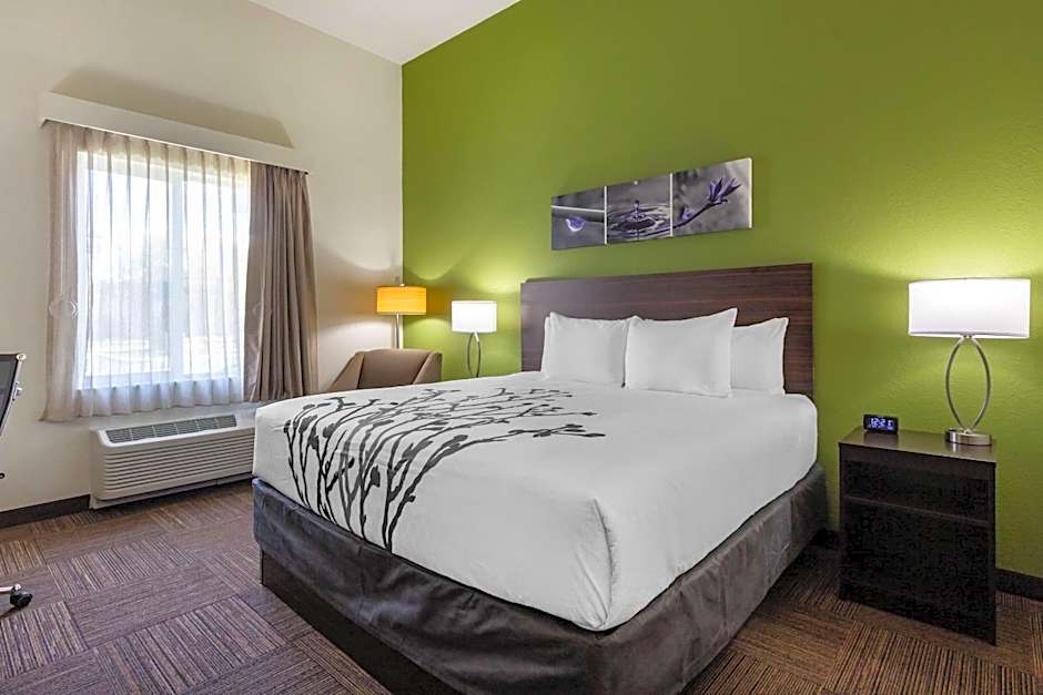 Photo 1 of 4 of 1 King Bed, Accessible