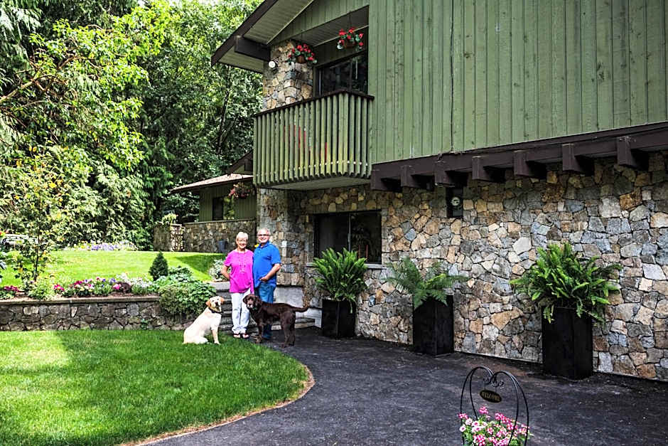 Misty Meadows B and B