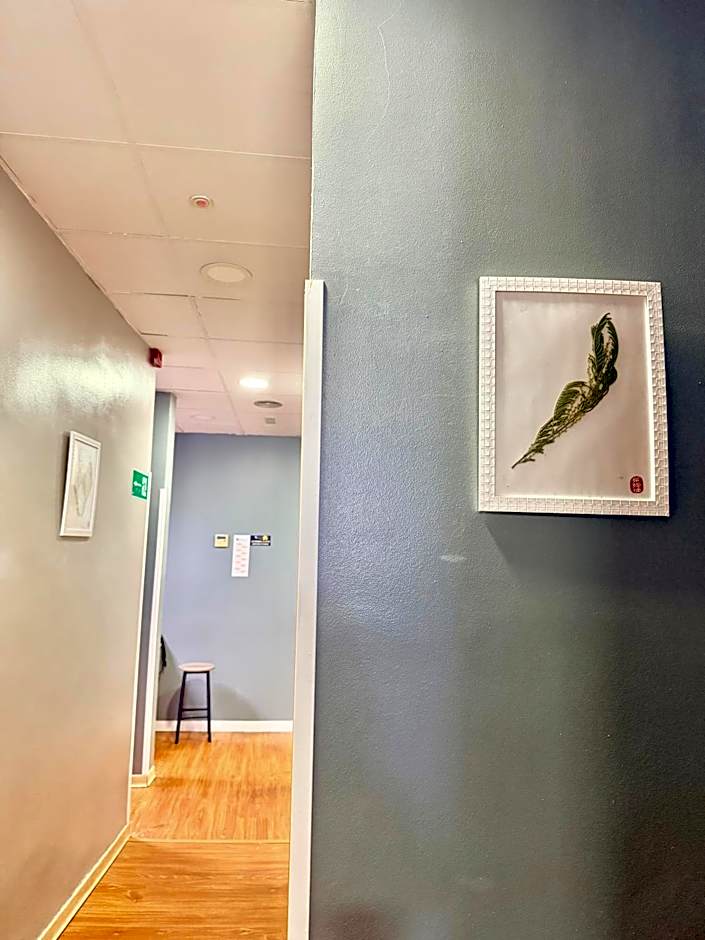 Hostel Acacias
