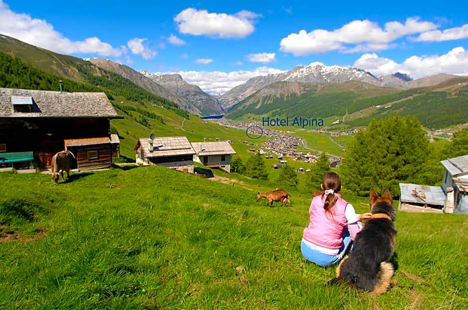 Hotel Alpina