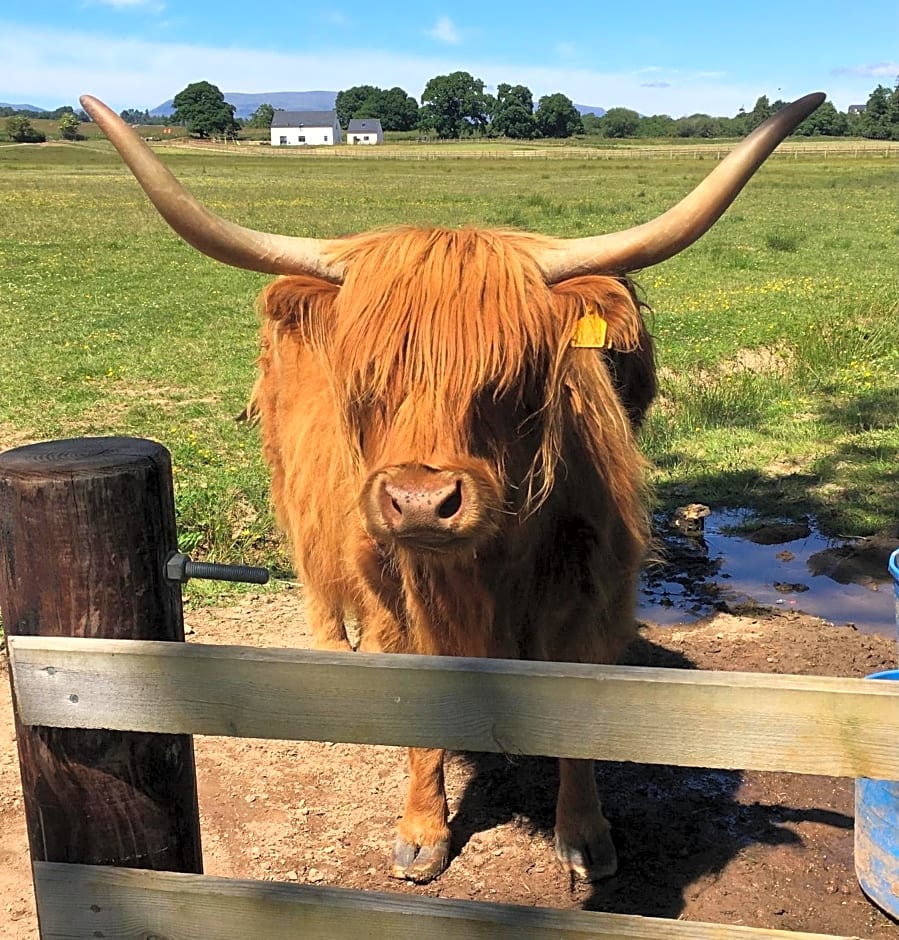 Alba Bed & Breakfast – Inverness