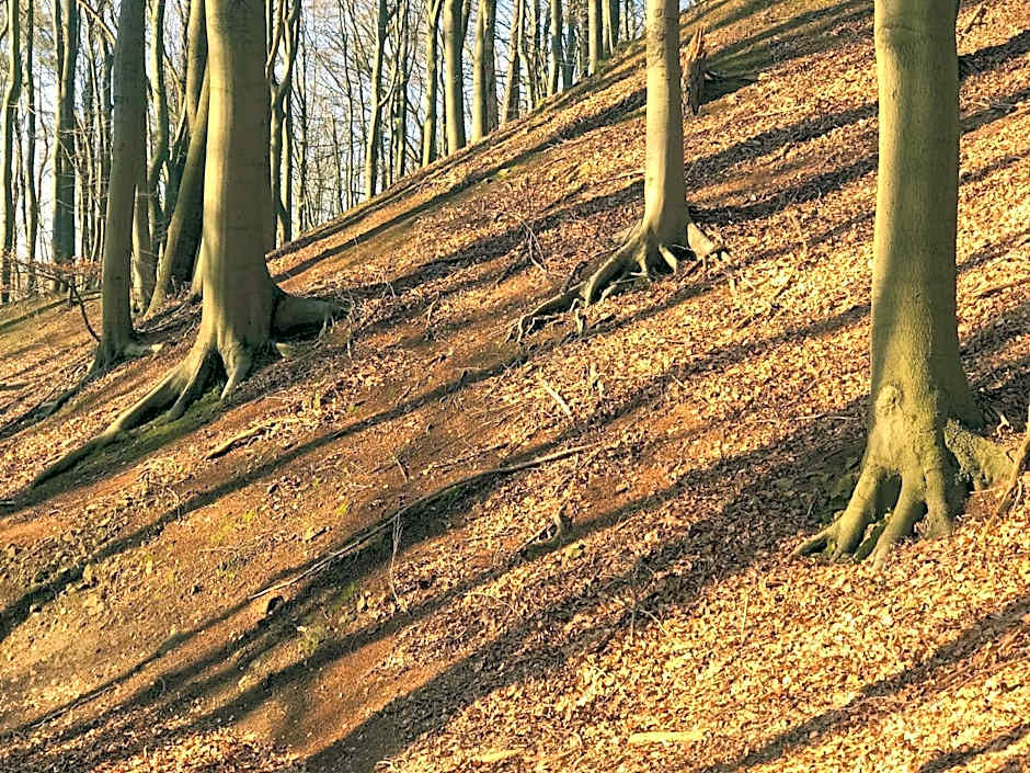 Waldhotel "Peter aufm Berge"