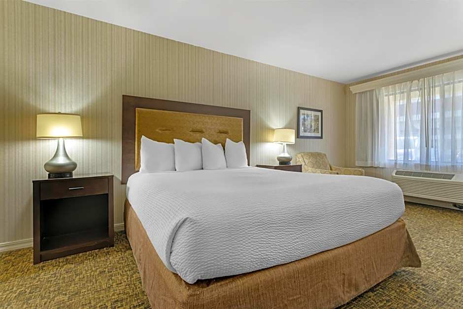 Best Western Plus Big America