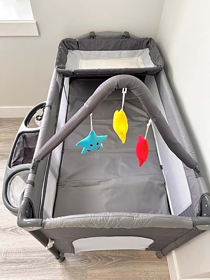 Modern and New house near PNE with Big Garden and Free Parking