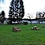 Nettleton Country House