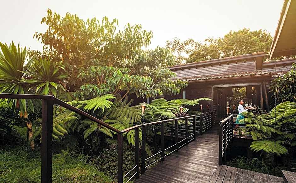 One and Only Nyungwe House