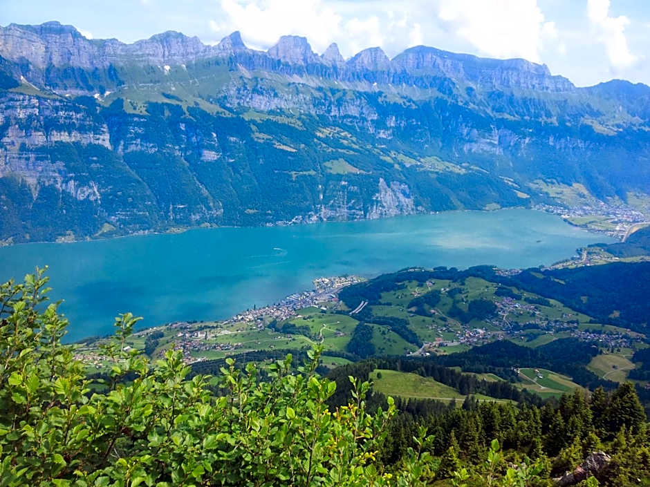 Hotel Tannenboden - Steinbock