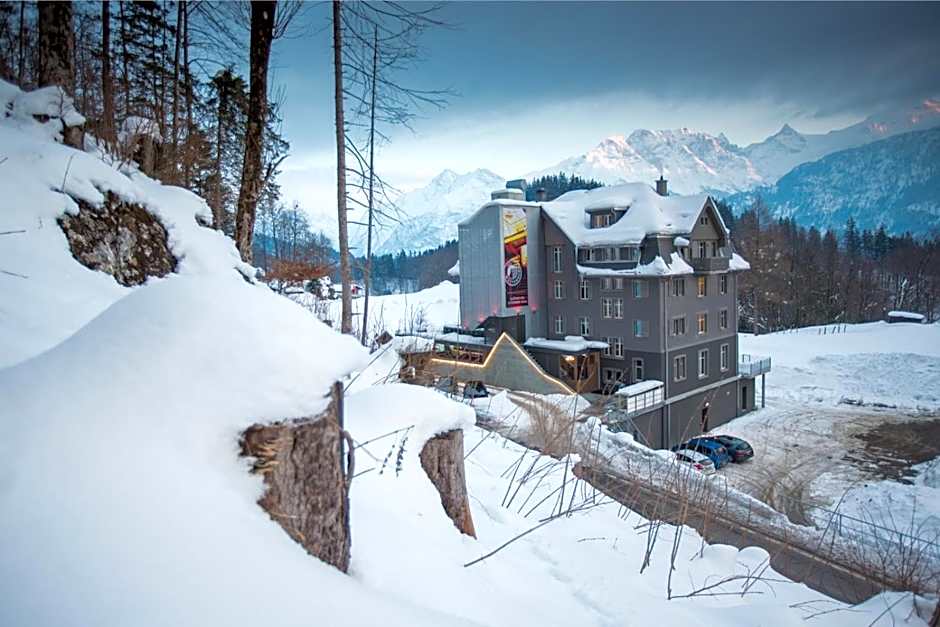 Apart Hotel Wetterhorn