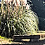Domaine de Bellevue CHAMBRE D'HÔTES