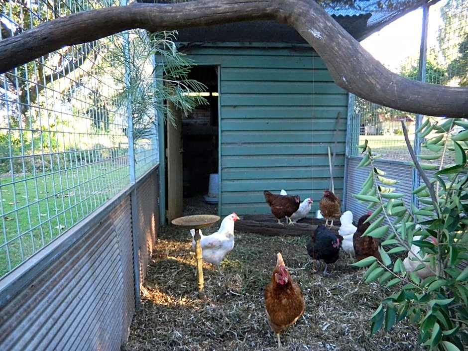 Blair Athol Homestead