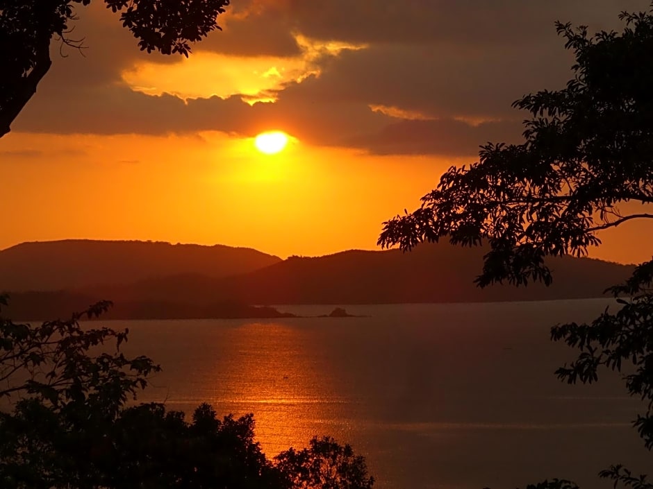 Atremaru Jungle Retreat