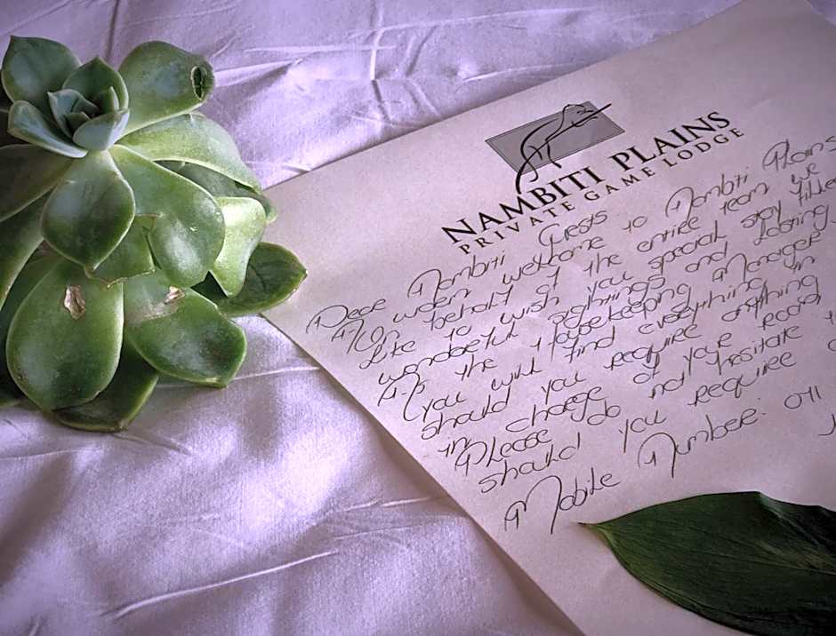 Nambiti Plains Lodge