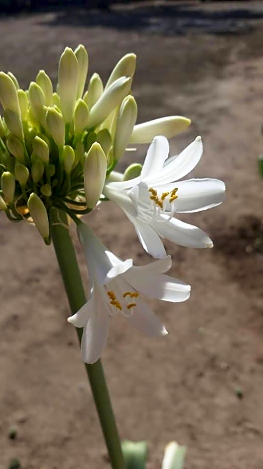 Meson La Huerta