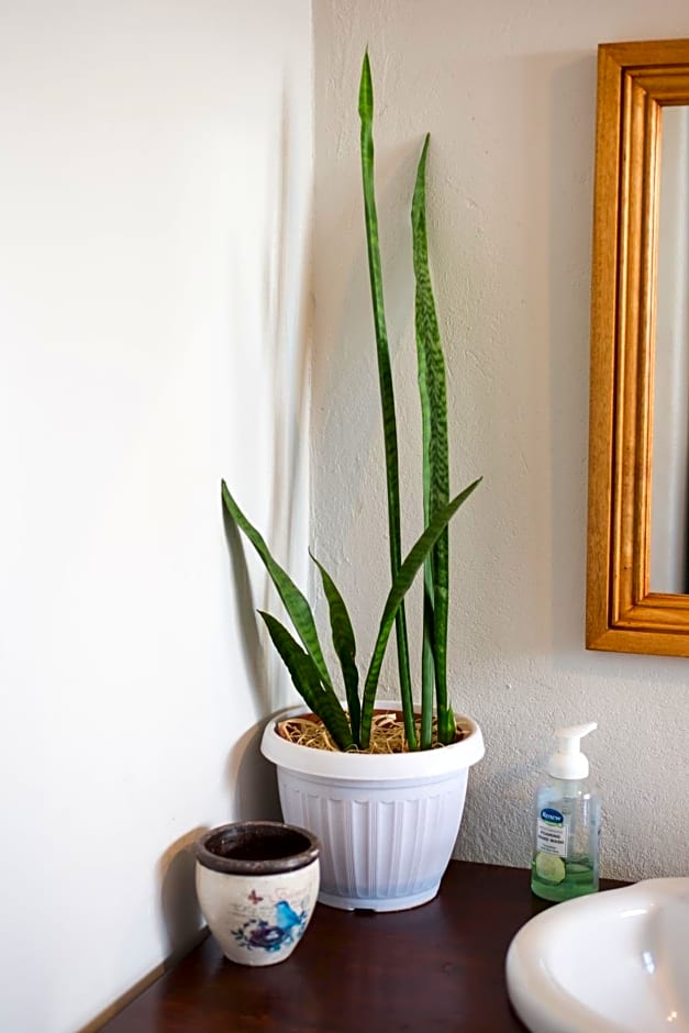 Vlettershof Guest House