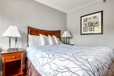 King Bed Accessible