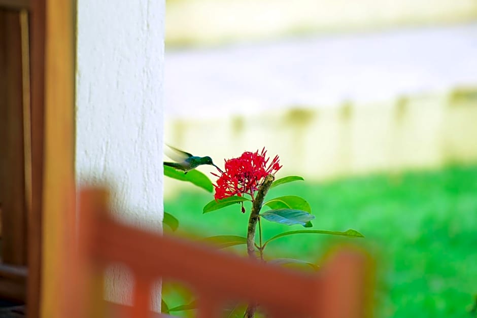 Quintas do Arraial Guest House